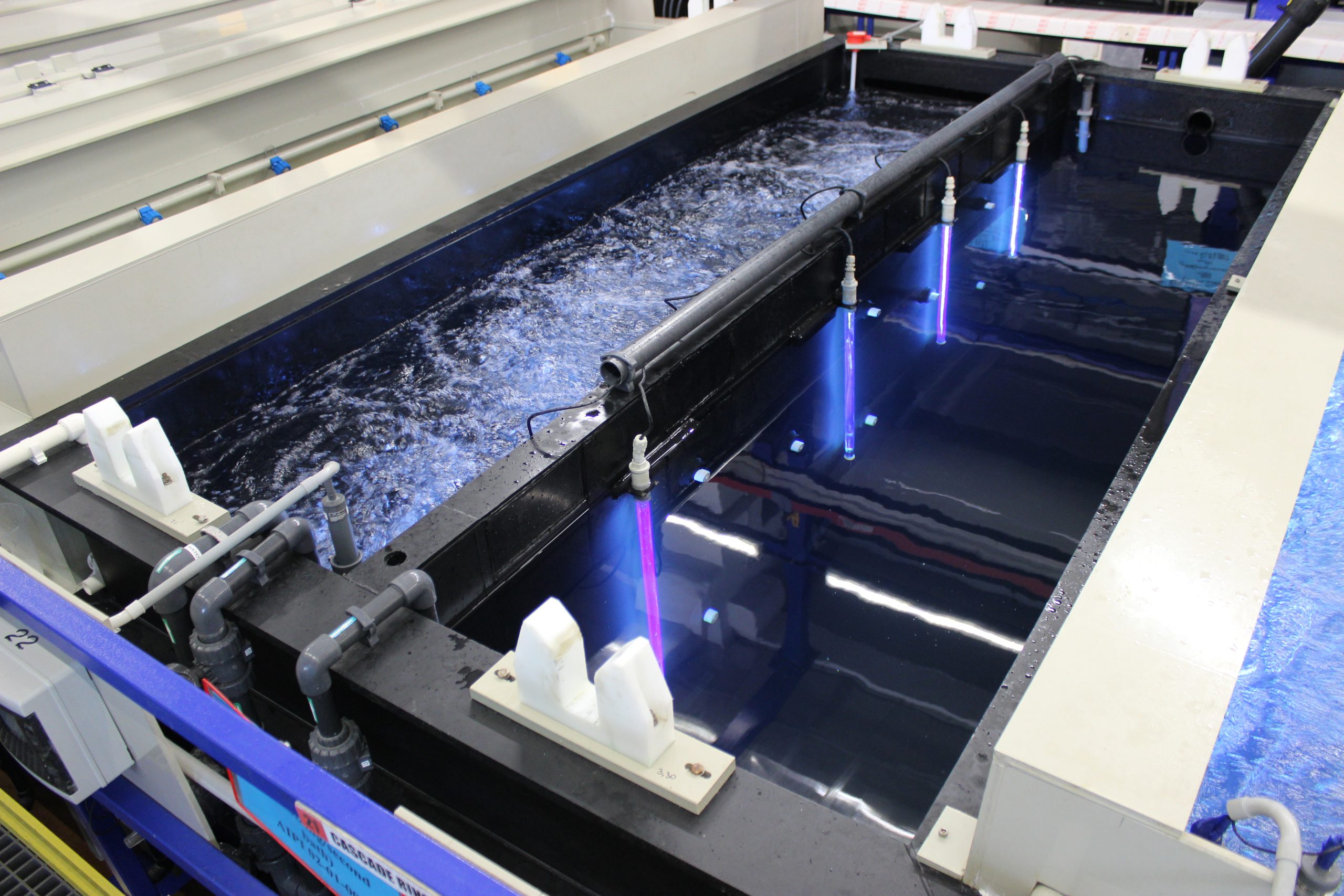 UV lichide pentrante